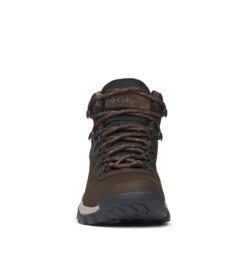 Columbia Newton Ridge Plus Waterproof Hiking Boots - Womens Cordovan / Crown Jewel -Columbia Outfit Shop 1618890984 BL3783 231 7