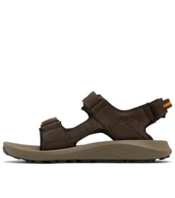 Columbia Trailstorm Hiker 3-Strap Sandal - Mens Cordovan / Gold Amber -Columbia Outfit Shop 1666805902 1987221 231 3
